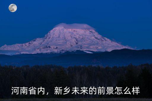 河南省內(nèi)，新鄉(xiāng)未來(lái)的前景怎么樣