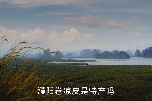 濮陽卷涼皮怎么加盟,自己怎么做涼皮呢