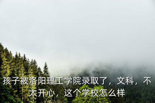 孩子被洛陽理工學院錄取了，文科，不太開心，這個學校怎么樣