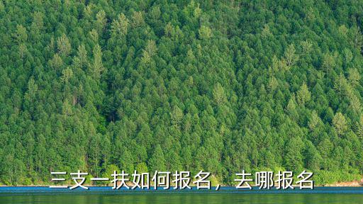 周口三支一扶怎么報名,三支一扶如何報名