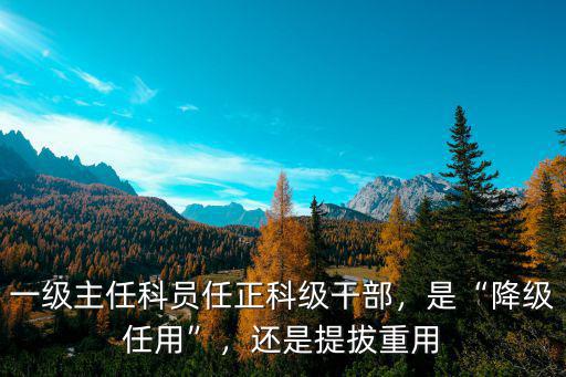洛陽正科級干部車補是多少,一級主任科員任正科級干部