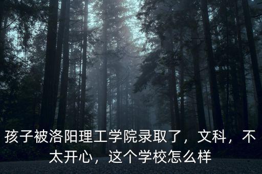 孩子被洛陽理工學院錄取了，文科，不太開心，這個學校怎么樣