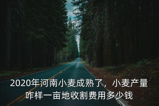 2020年河南小麥成熟了，小麥產量咋樣一畝地收割費用多少錢