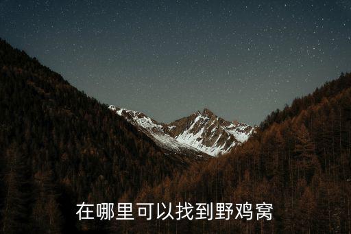 開封縣哪里可以找到雞,在哪里可以找到野雞窩