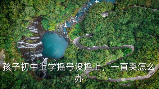 開封初中搖號搖的不想上怎么辦,孩子初中上學搖號沒搖上