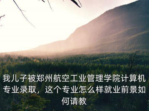 我兒子被鄭州航空工業管理學院計算機專業錄取，這個專業怎么樣就業前景如何請教