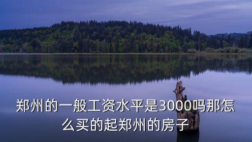 鄭州的一般工資水平是3000嗎那怎么買的起鄭州的房子