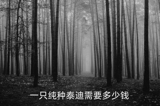 加納利犬在河南多少錢一只,西班牙加納利犬多少錢