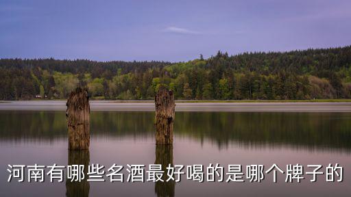 河南有多少酒品牌分布圖,河南都有什么白酒品牌