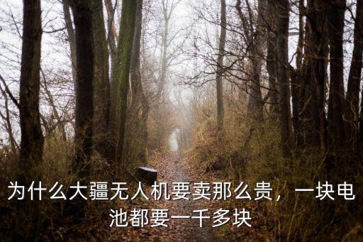 為什么大疆無人機要賣那么貴，一塊電池都要一千多塊