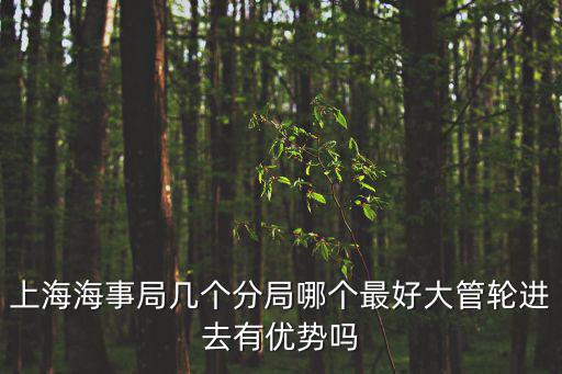 上海海事局，上海海事局一共有幾個(gè)