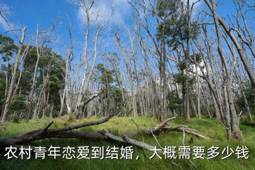 農村青年戀愛到結婚，大概需要多少錢
