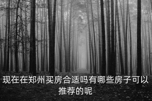 現在在鄭州買房合適嗎有哪些房子可以推薦的呢