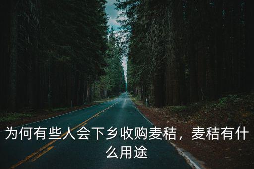 為何有些人會下鄉收購麥秸，麥秸有什么用途