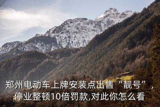 鄭州電動車上牌安裝點出售“靚號”，停業整頓10倍罰款,對此你怎么看