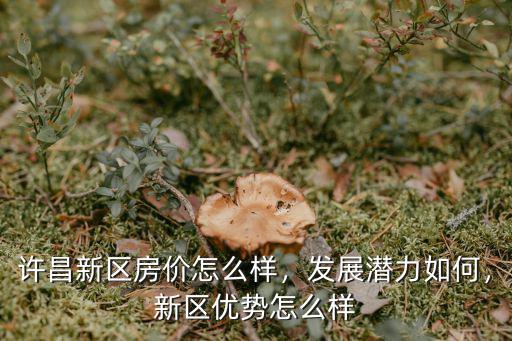 許昌新區房價怎么樣，發展潛力如何，新區優勢怎么樣