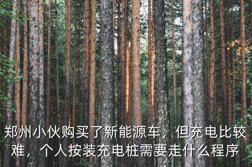 鄭州小伙購(gòu)買了新能源車，但充電比較難，個(gè)人按裝充電樁需要走什么程序