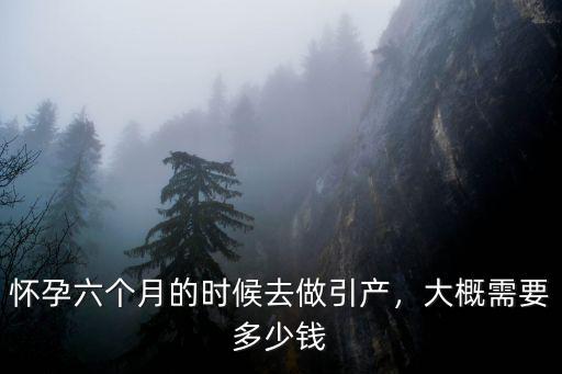 洛陽引產(chǎn)需要多少錢啊,大概需要多少錢