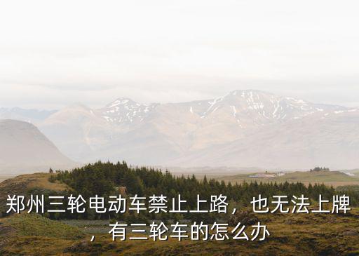 鄭州三輪電動車禁止上路，也無法上牌，有三輪車的怎么辦