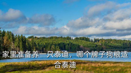 濮陽泰迪推光多少錢,泰迪做一次美容多少錢濮陽