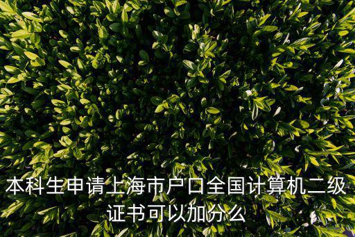 本科生申請(qǐng)上海市戶(hù)口全國(guó)計(jì)算機(jī)二級(jí)證書(shū)可以加分么