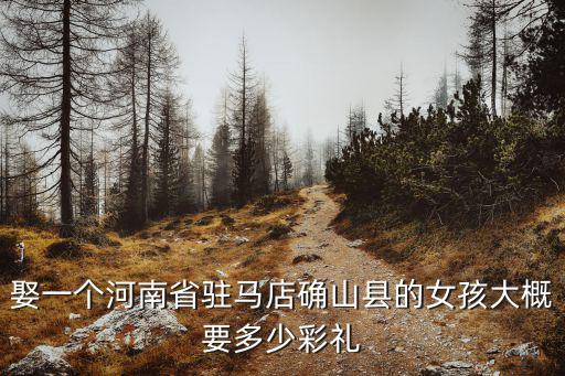 娶一個河南省駐馬店確山縣的女孩大概要多少彩禮