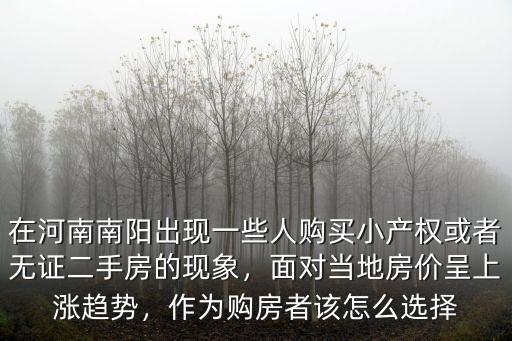 在河南南陽出現一些人購買小產權或者無證二手房的現象，面對當地房價呈上漲趨勢，作為購房者該怎么選擇