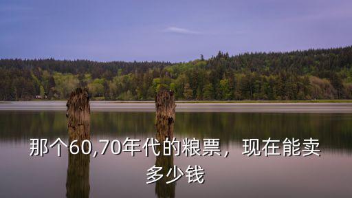 河南布票一張能賣多少錢,現在能賣多少錢