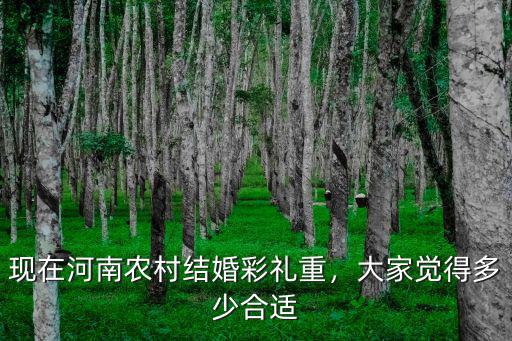 河南農村娶媳婦禮金多少,現在農村娶媳婦要多少彩禮呢