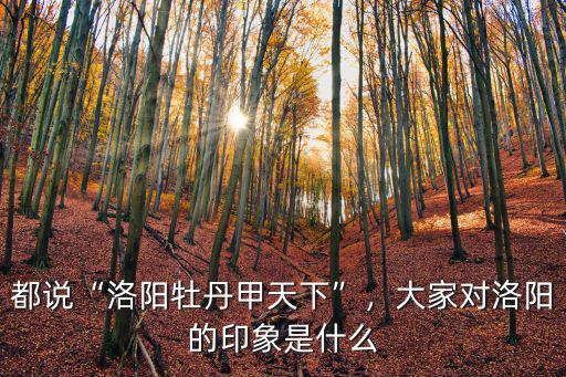都說“洛陽牡丹甲天下”，大家對洛陽的印象是什么