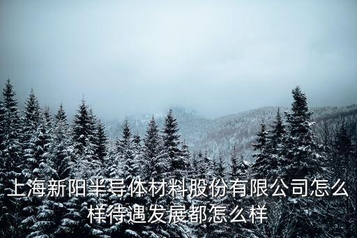 上海新陽半導(dǎo)體材料股份有限公司怎么樣待遇發(fā)展都怎么樣