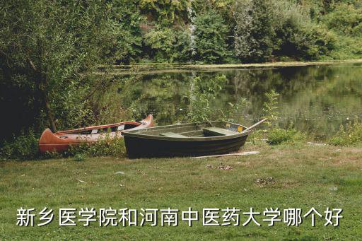 新鄉(xiāng)醫(yī)學院和河南中醫(yī)藥大學哪個好