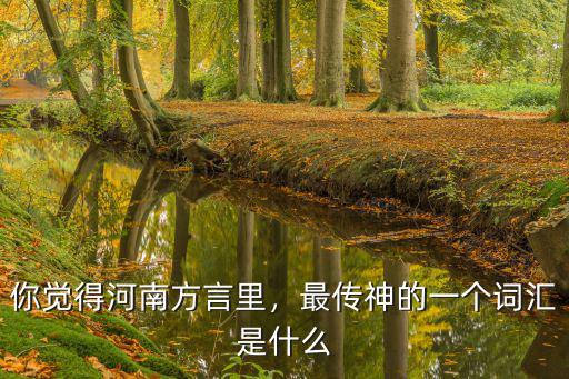 你覺得河南方言里，最傳神的一個詞匯是什么
