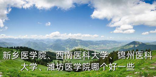 新鄉(xiāng)醫(yī)學(xué)院、西南醫(yī)科大學(xué)、錦州醫(yī)科大學(xué)、濰坊醫(yī)學(xué)院哪個好一些