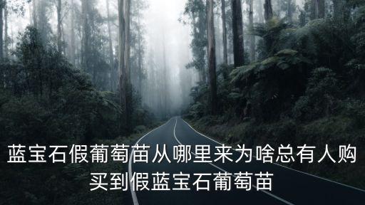 藍寶石假葡萄苗從哪里來為啥總有人購買到假藍寶石葡萄苗