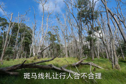 洛陽哪里設(shè)了禮讓行人,機(jī)動(dòng)車禮讓行人