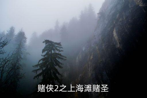 賭俠2之上海灘賭圣