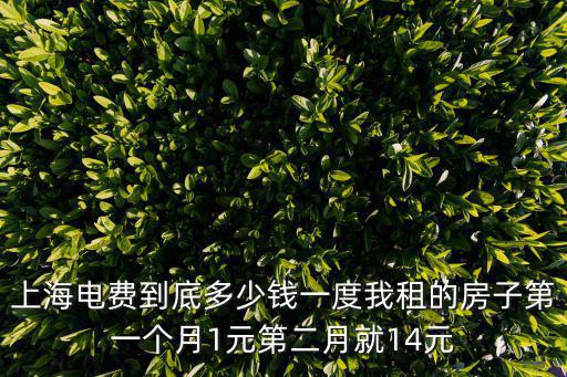 上海電費到底多少錢一度我租的房子第一個月1元第二月就14元
