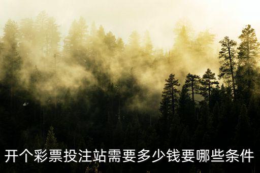 鄭州福彩投注站多少錢,開個彩票投注站需要多少錢