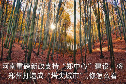 鄭州中心城市建設怎么做貢獻,鄭州建設國家中心城市