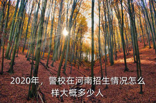 2020年，警校在河南招生情況怎么樣大概多少人