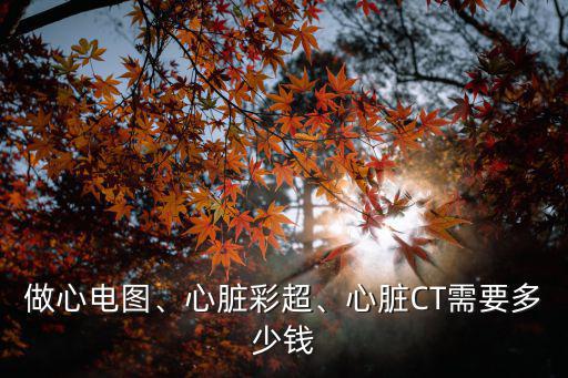 做心電圖、心臟彩超、心臟CT需要多少錢