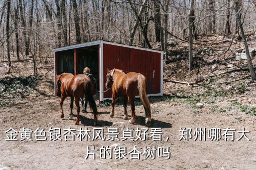 鄭州哪里有鳥鳴風景,鄭州哪里風景好