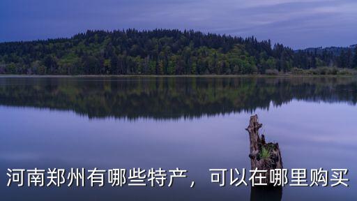 河南鄭州有哪些特產，可以在哪里購買