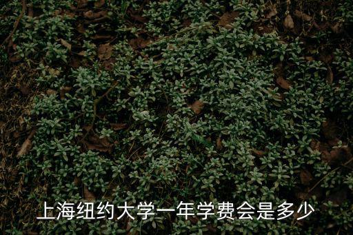 上海紐約大學(xué)學(xué)費(fèi)，上海紐約大學(xué)一年學(xué)費(fèi)會(huì)是多少