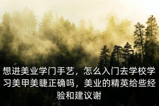 想進美業學門手藝，怎么入門去學校學習美甲美睫正確嗎，美業的精英給些經驗和建議謝