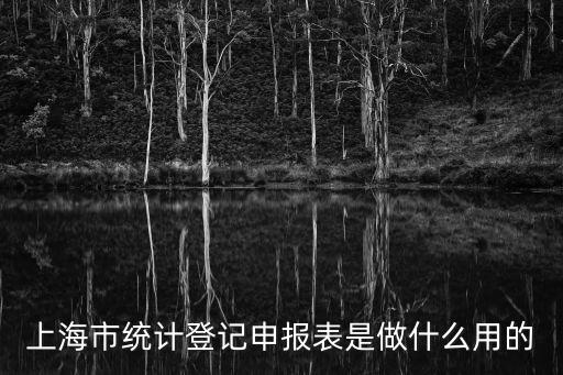 上海市統(tǒng)計登記申報表是做什么用的