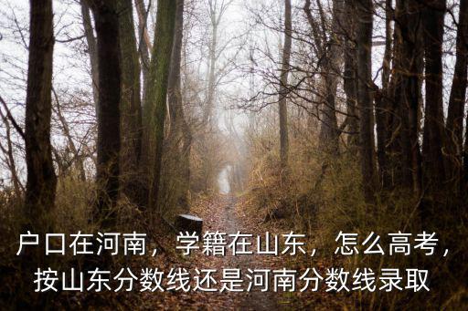 戶口在河南，學籍在山東，怎么高考，按山東分數線還是河南分數線錄取