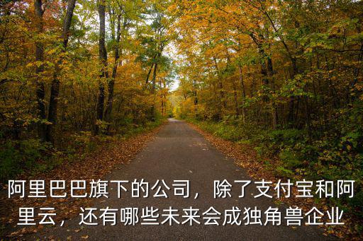 阿里巴巴旗下的公司，除了支付寶和阿里云，還有哪些未來會(huì)成獨(dú)角獸企業(yè)