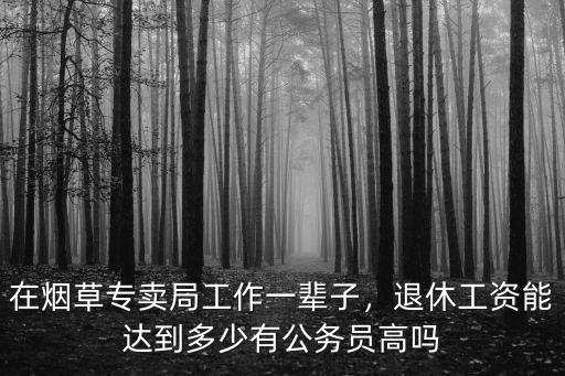 許昌煙草專賣局的工資待遇是多少,在煙草專賣局工作一輩子